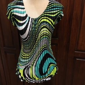 Cap/dolman sleeve ribbed/pleated blouse.